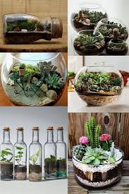 Gardening Merit Badge Slideshow Maker Gardening Tools And Their Uses And Skype Definition Snapdeal Ladies Sh Succulent Garden Diy Plants House Plants Decor