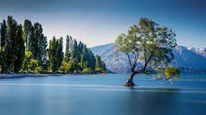 Lake Wanaka New Zealand Bing Images Lake Wanaka Wanaka New Zealand Wanaka