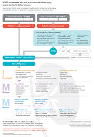 Investigate Manage And Monitor Acute Kidney Injury Chronic Kidney Disease Pet Health
