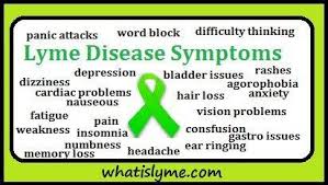 Lyme Disease And Autism Recovery Home Facebook