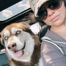 𝐄𝐗𝐎𝐓𝐈𝐂 𝐊𝐈𝐓𝐓𝐄𝐍. 𝐶𝐴𝐿𝐿𝑌𝑁'𝑆 𝑃𝐴𝑅𝐴𝑀𝑂𝑈𝑅. Judge Gary  Veach. • What a little cutie!!! 🥰 🐈‍⬛🐱 #cfacatshow #exotic  #exoticshorthair #exoticshorthairkitten #exoticshorthaircat