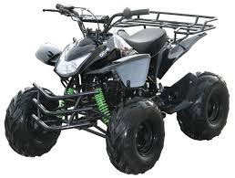 If you are not getting. Coolster Shark 125cc Atv Service Repair Manual Automotive Manuals
