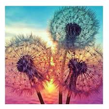 Diy sunset painting for kids. Customized Available Diy 5d Diamond Painting Kits For Kids Adults Full Drill Sunset Dandelions Picture Wall Arts Decoration Buy Pictures Full Drill Diy Diamond Painting Diamond Painting Kit Product On Alibaba Com