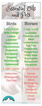 The Best Essential Oils That Are Safe For Pets Part 2 Healthy Living In Colorado Llc Healthy Essential Oils Are Essential Oils Safe Essential Oils For Headaches