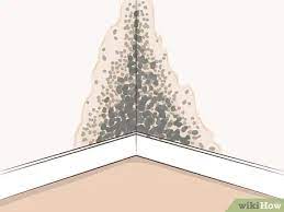 3 Ways To Test The Air Quality In Your Home - Wikihow