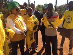 Door to door Kameedrift with Cde Baleka Mbete