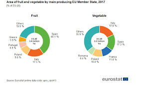 The Fruit And Vegetable Sector In The Eu A Statistical