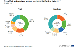 the fruit and vegetable sector in the eu a statistical