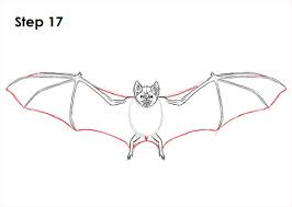 Bat Drawing Images Carinewbi Download vampire bat stock vectors. bat drawing images carinewbi