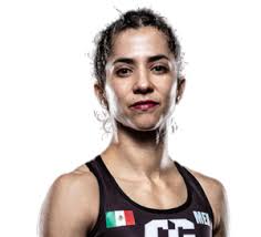 Weight Class » Strawweight