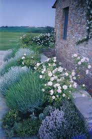 90 Stunning Cottage Garden Ideas For Front Yard Inspiration Domakeover Com Cottage Cottagegardens Domakeo In 2020 Toskanischer Garten Garten Pflanzen Garten