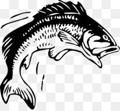 Free Free 203 Walleye Fishing Svg Free SVG PNG EPS DXF File