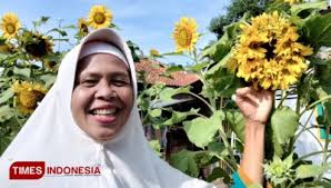 Lingkungan 1 sarongsong ii, airmadidi, indonesia. Berita Bunga Matahari Hari Ini Times Indonesia