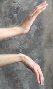 You'll feel moderate discomfort but. Preventing Injury 8 Best Hand And Wrist Exercises For Computer Users Ergonomic Trends