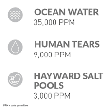 Turbocells Sanitizers In Ground Pool Sanitizers