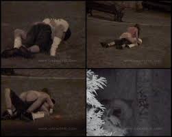 VIP Many Vids » Fu10 Night Crawling 03