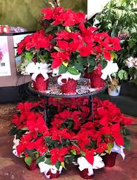 May 15, 2021 · manila (tagalog: A Better Design Flowers Gifts A Better Design Twitter
