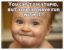 You Can T Fix Stupid But You Can Have Fun With It Funny Baby Pictures Cant Fix Stupid Laugh Meme