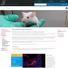 Animal with only one cell. How To Explain Animal Research On Your Institution S Website Speaking Of Research
