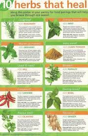 10 Herbs That Heal Peppermint And Ginger Are Known For Curing Upset Stomach Health Detox Herbs Herbalism Natural Remedies