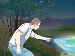 3 Ways To Keep A Wild Caught Toad As A Pet Wikihow