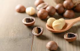 Image result for Macadamia