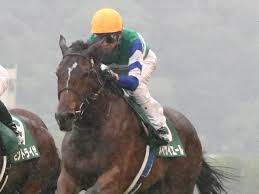 ナ・ダイアル ⅵ ツェペシュの幼き末裔 ／ 亡き王女の為のセプテット ⅶ u.n.オーエンは彼女なのか？ å°å€‰2æ­³s æ­¦è±Š ä¹—ã‚Šå'³ã‚‚æŠœç¾¤ ãƒ¡ã‚¤ã‚±ã‚¤ã‚¨ãƒ¼ãƒ«ãŒè±ªå¿«ãªå·®ã—åˆ‡ã‚Š ç«¶é¦¬ãƒ‹ãƒ¥ãƒ¼ã‚¹ãªã‚‰ ç«¶é¦¬ã®ãŠã¯ãªã—