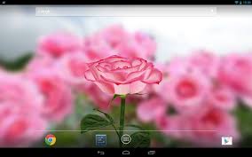 Animated rose, flower wallpaper with 3d parallax and water touch effect. 3d Rose Live Wallpaper Apk 5 3 Download For Android Download 3d Rose Live Wallpaper Apk Latest Version Apkfab Com
