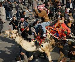 Women and elephants never forget an injury. The Only Weapon We Have Is Memory Remembering The Camel Battle Sabah Hamamou