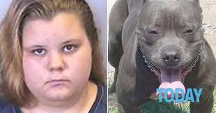 Pubblicato il 28 marzo 2017 alle ore 19:05. Si Scatta Selfie Mentre Fa Sesso Orale Con Il Pitbull Della Nonna Ragazza Denunciata