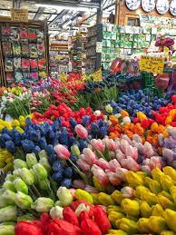 Amsterdam Traveller S Guide Fashion Eats Travel Flower Market Flower Aesthetic Beautiful Flowers