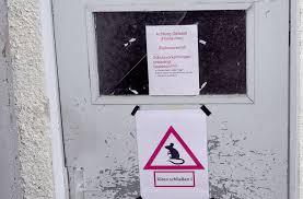 Rodents, such as mice and rats, carry the virus. Erkrankte Polizisten In Goppingen Hantavirus Ist Im Sudwesten Wieder Auf Dem Vormarsch Baden Wurttemberg Stuttgarter Zeitung
