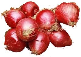 Umbi bawang merah mengandung allicin, vitamin b1 (thiamin) untuk pertumbuhan tunas, riboflavin untuk pertumbuhan tanaman, dan mengandung zpt auksin dan rhizokalin yang dapat merangsang. Manfaat Bawang Merah