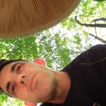 Handwaves' collection