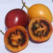 Image result for Solanum betaceum