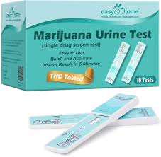 Image result for Single-Question Drug Abuse Screening Test