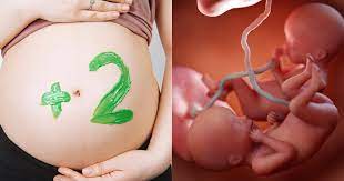 Cara lainnya yang bisa anda lakukan untuk meningkatkan peluang hamil anak kembar adalah hamil saat fase menyusui. 5 Cara Mendapatkan Anak Kembar Yang Alami Mama S Choice
