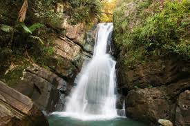 El yunque national forest, puerto rico the falls drop 85 feet. The Most Beautiful Waterfalls In Puerto Rico
