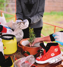 Knowledge, Attitudes, Practice, and Behaviour Study