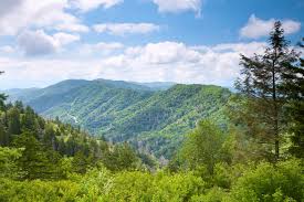 National park reservations is a reservation service providing lodging and activity reservations. Top 5 Reasons Why Hikers Love Our Rental Cabins In Wears Valley Tn