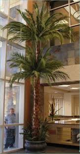 Maybe you would like to learn more about one of these? Custom Made Palm Trees Palm Gallery