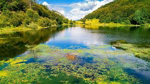 Maybe you would like to learn more about one of these? Hd Wallpaper Baykland Lake Mountain Lake In Bosnia And Herzegovina 4k Ultra Hd Tv Wallpaper For Desktop Laptop Tablet And Mobile Phones 3840 2160 Wallpaper Flare