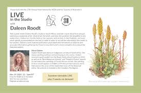 Image result for Disa woodii