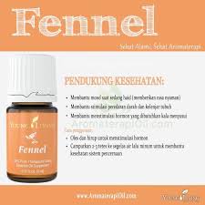We did not find results for: Fennel Young Living Essential Oil Kesehatan Kecantikan Parfum Kuku Lainnya Di Carousell