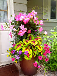 One Way To Beautify The Entrance Of Your Home Is To Place Some Flower Pots Close To The Door Here Ar Container Gardening Flowers Flower Pots Container Flowers