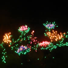 If You Were A Flower I D Pick You Author Unknown Photo Credit C 2013 Lr Swenson Holiday Lights Christmas Lights Botanical Gardens