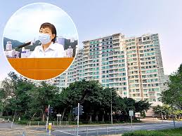 愉景灣 映灣園 珀麗灣 藍天海岸 東環 東堤灣畔 昇薈 海堤灣畔 碧濤軒 裕東苑 澄碧邨 golden coast whitesands 寶雅花園 卓濤軒 botanica bay 海景大廈 銀濤軒 珀麗灣 梅窩大廈 東堤灣畔; ç§äººæ©å¸«æ°å ç¢ºè¨ºæ¾å°è±æ³å±ä½æ±æ¶èå¤©æµ·å²¸ é ­æ¢æ¥å ±