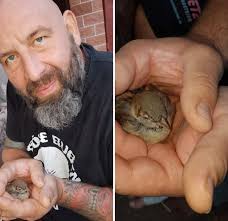 Markus" The Dragon...