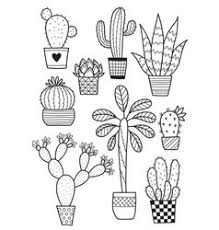 Blossom cactus flower coloring pages to color, print and download for free along with bunch of favorite cactus coloring page for kids. Cactus Coloring Book Page Vector Images Over 150