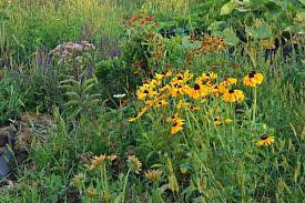 Подраздел 1.2: Особенности цветков